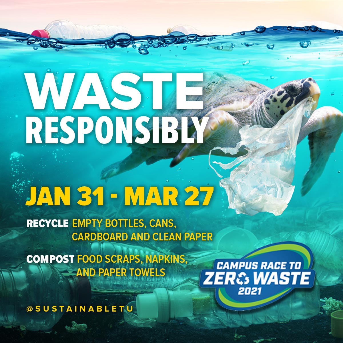 Campus Race to Zero Waste social media graphic showing a turtle with plastic stuck to it