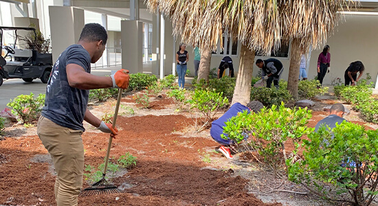 Group of people planting trees at Boyd Anderson HS in Florida