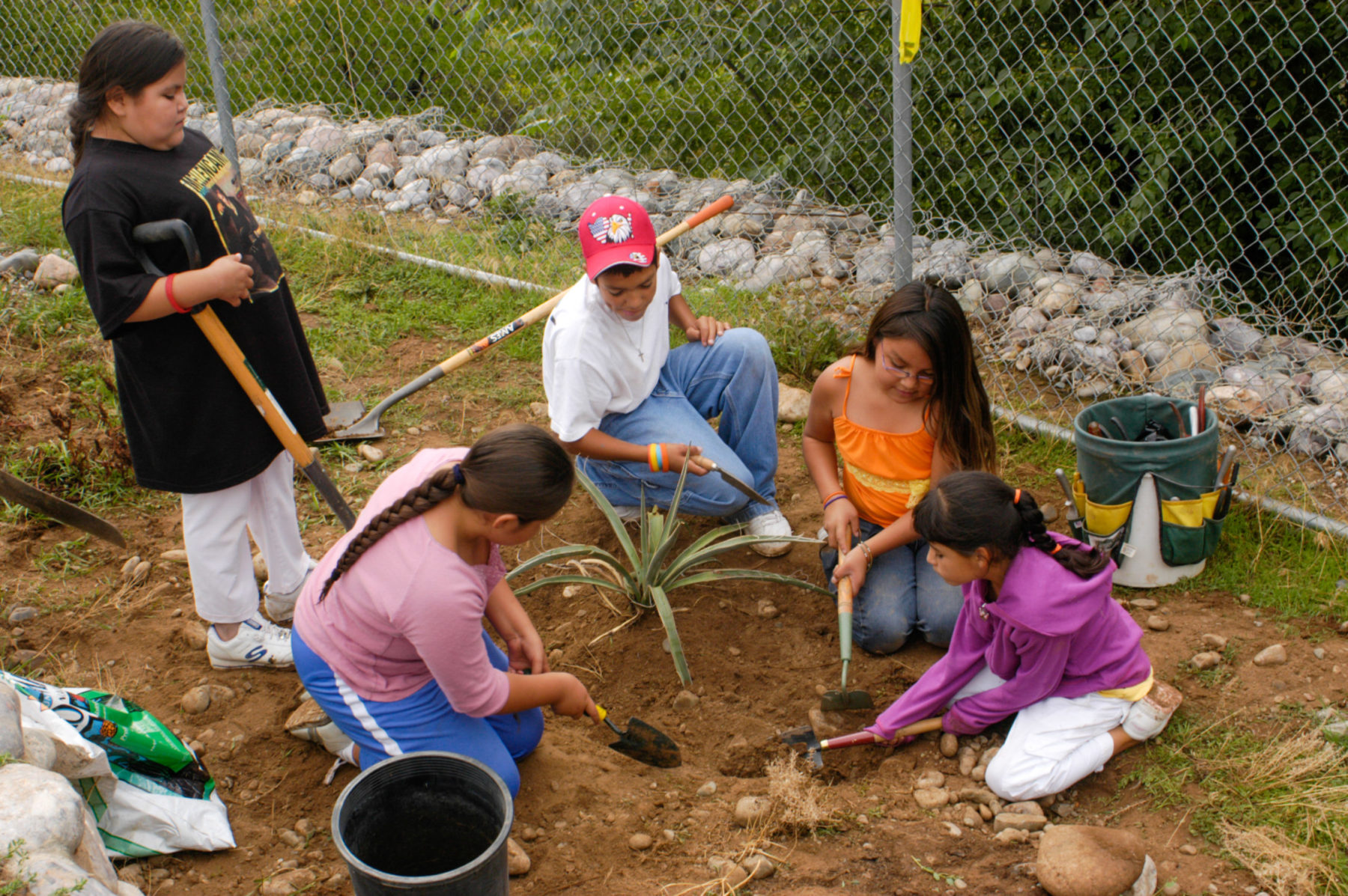 Children from environmental education class planting