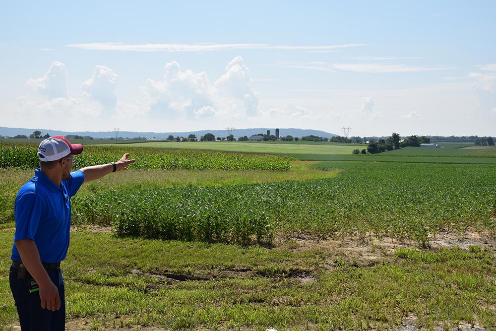 Farmer points across corn field in Lancaster, PA.