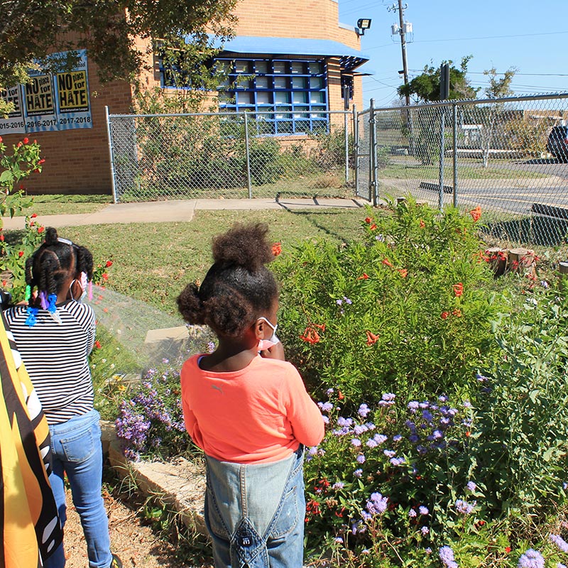 Two young girls stand in front of a native habitat garden in an urban school.