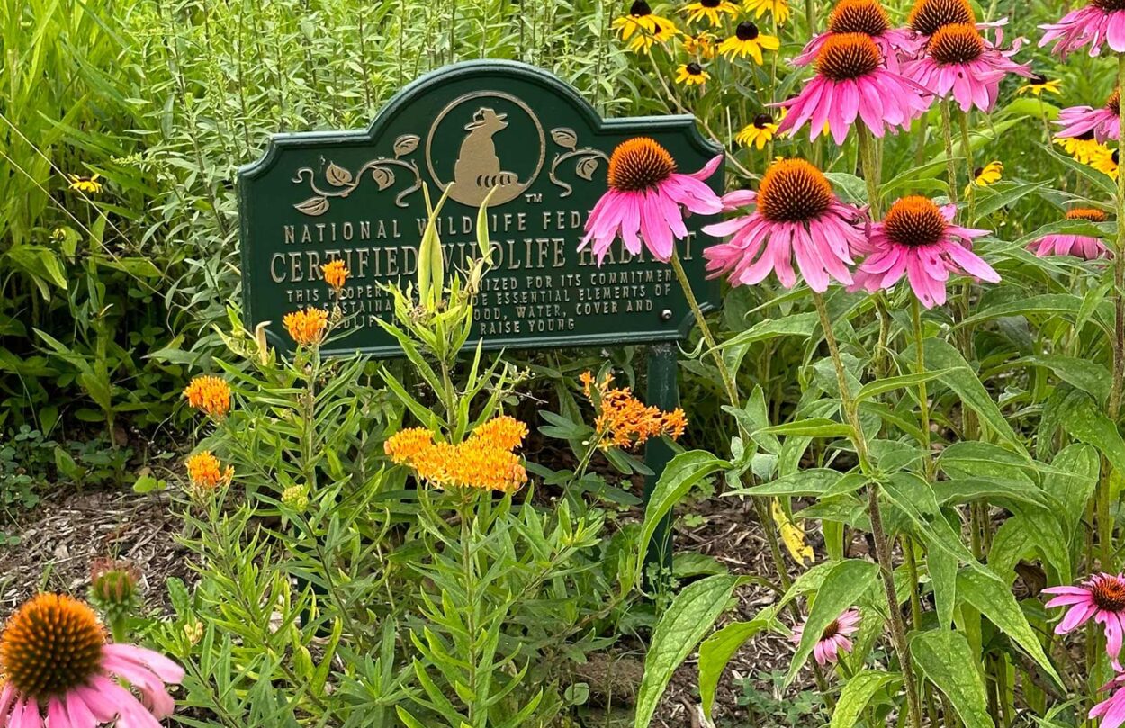 Certified Wildlife Habitat Sign in a flowering garden