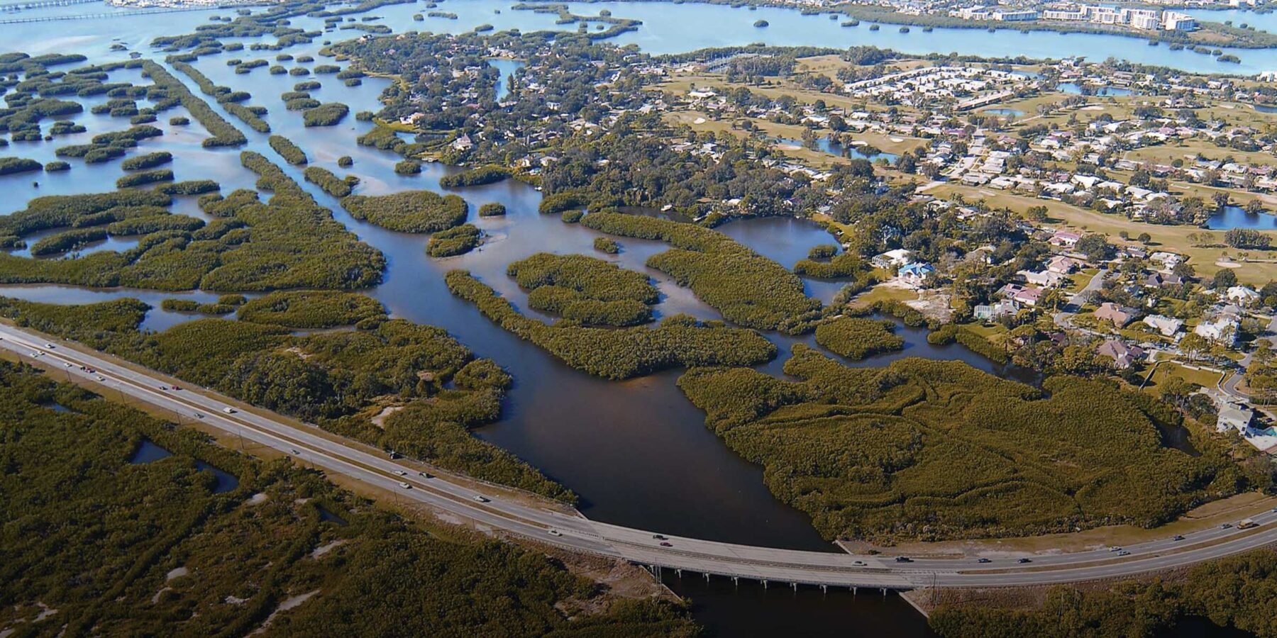 Florida mangroves (natural defenses for coastal hazards section)