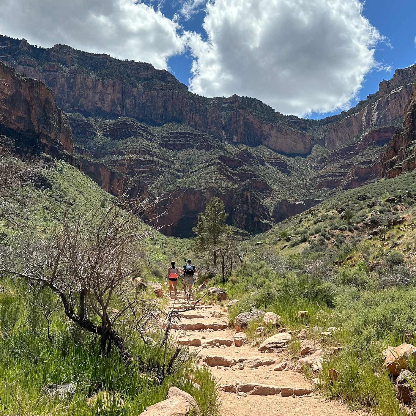 Hikers walks down a path in the Grand Canyon