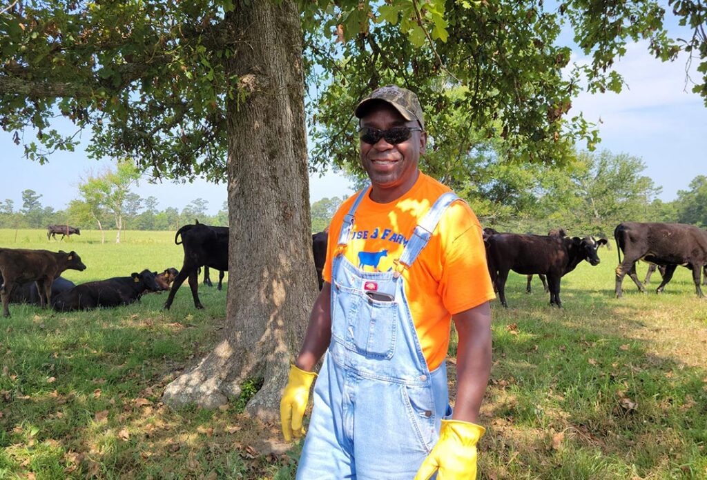 Farmer stands in front of cattle in a field on Muse 3 Farm