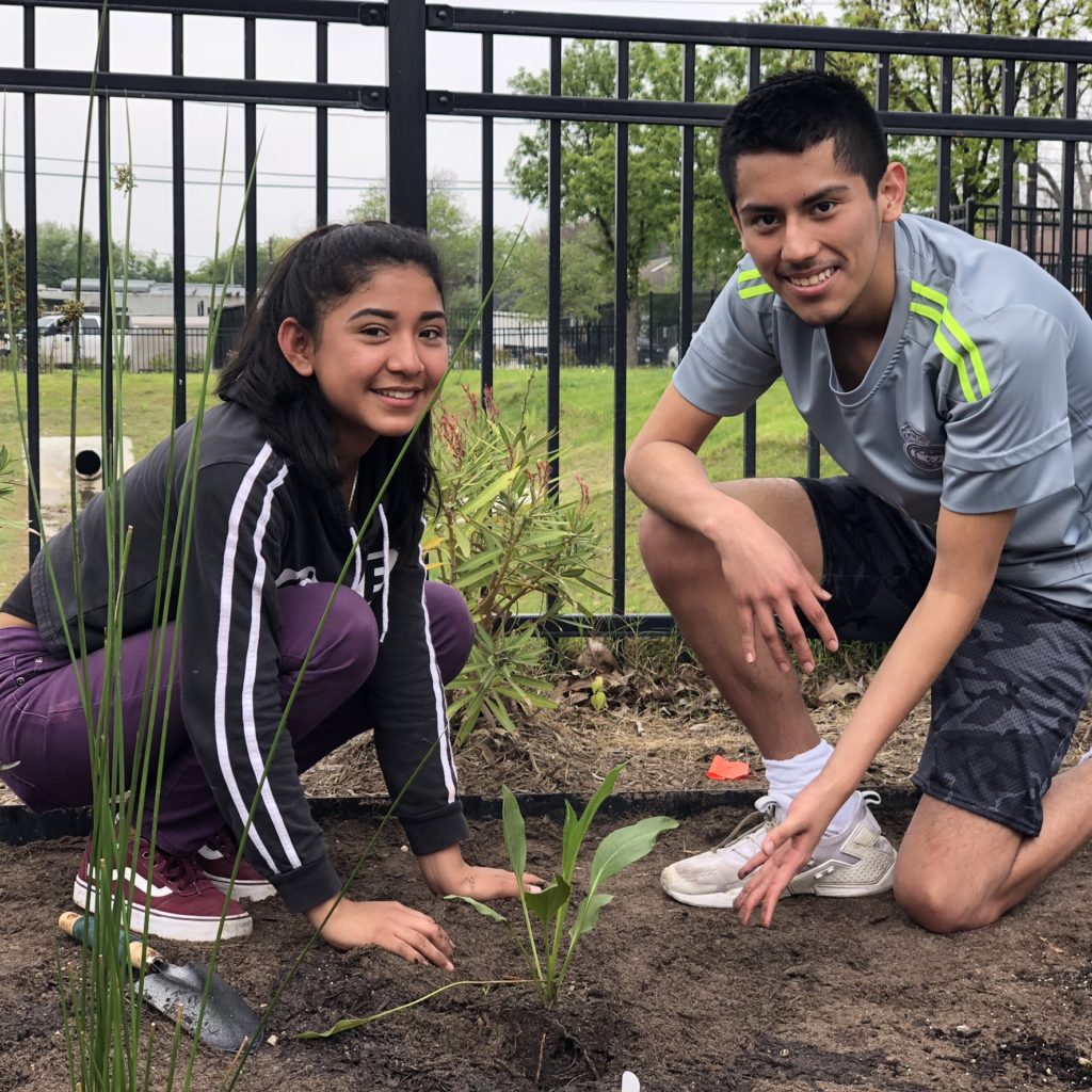 Students planting a rain garden