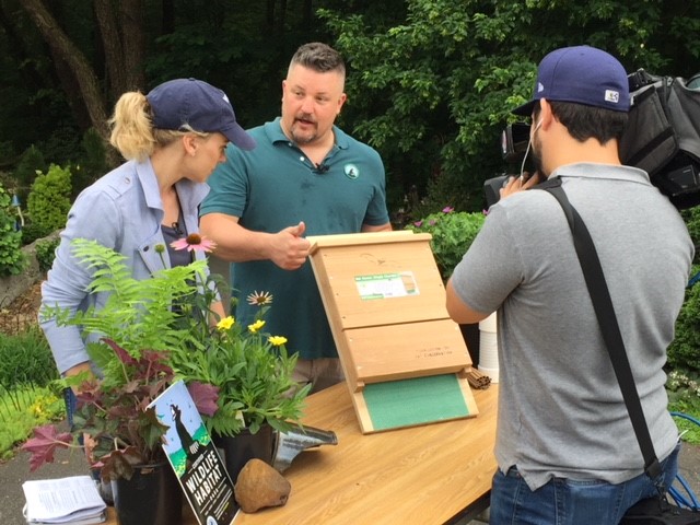 David Mizejewski explaining about backyard bat homes.