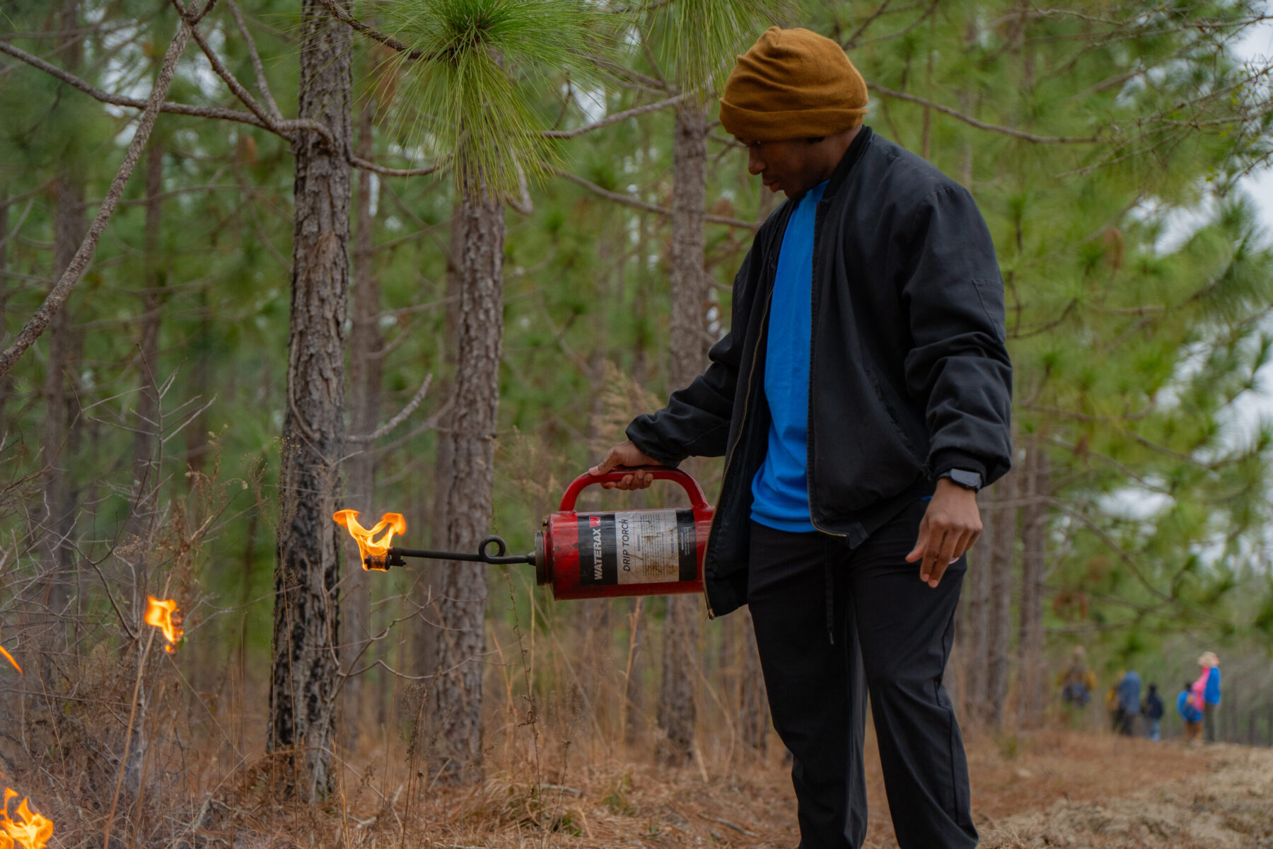 A young man holding a drip torch over dried brush