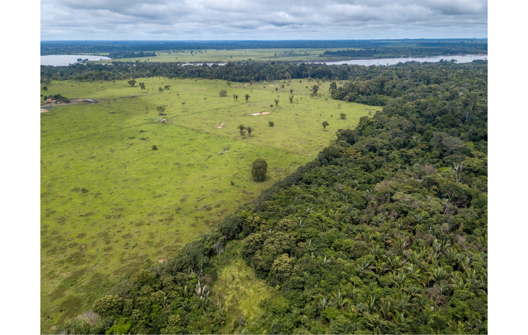 Aerial view of rainforest lands