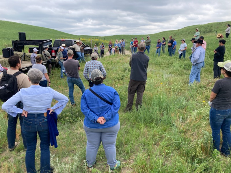 People at the grasslands conference standing in a circle in a pasture
