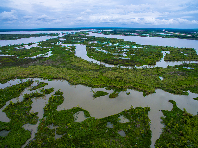 Bird's eye view of marshes